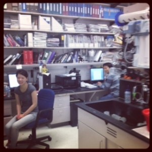 Post docs MJ and Bahou focuses on molecular genetics in schizofrenic mice and they showed us their well organized  wet lab.